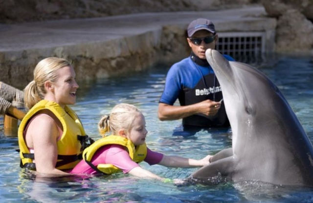 Interaccion con delfines